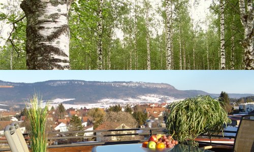 Hotel Birkenhof Aldingen bei Spaichingen - (Tuttlingen)